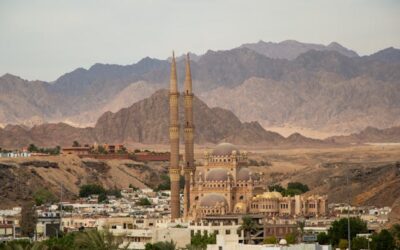 Islamic Finance and the Rise of ESG Roles: The New Frontier for Finance Executives in the Middle East